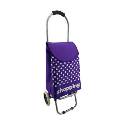 Low price wheel 600D Polyester Folding smart shopping cart