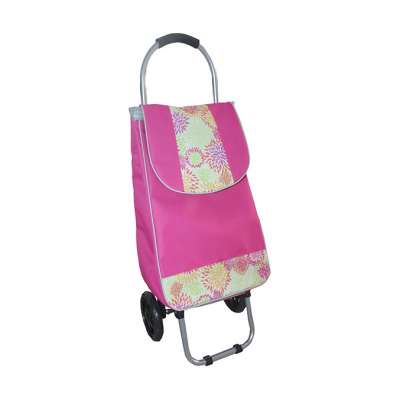 lovely and cute kids shopping cart with colorful bag